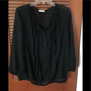 Pleione sheer polka dot from Nordstrom Pleione